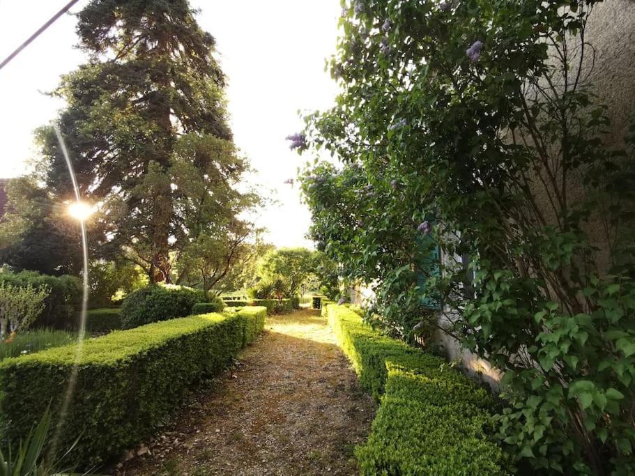 Ferienwohnung Charmant Studio Avec Jardin A La Campagne Sur Le Chemin De Saint Jacques De Compostelle Lauzerte Exterior foto
